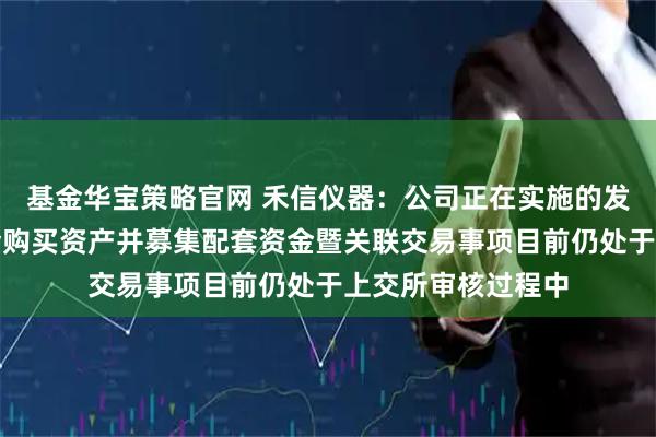 基金华宝策略官网 禾信仪器：公司正在实施的发行股份及支付现金购买资产并募集配套资金暨关联交易事项目前仍处于上交所审核过程中