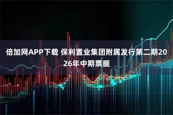 倍加网APP下载 保利置业集团附属发行第二期2026年中期票据