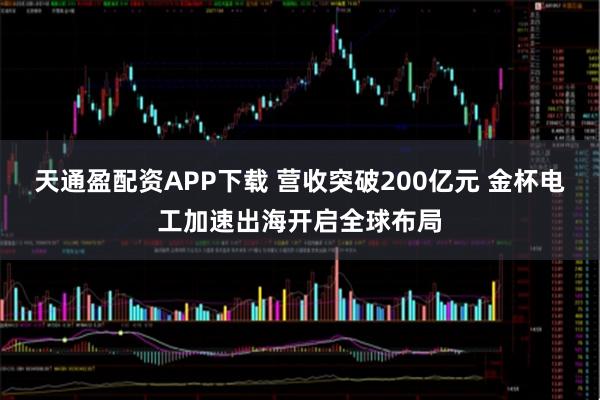 天通盈配资APP下载 营收突破200亿元 金杯电工加速出海开启全球布局