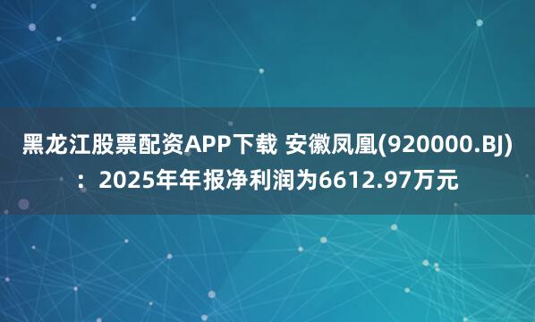 黑龙江股票配资APP下载 安徽凤凰(920000.BJ):2025年年报净利润为6612.97万元