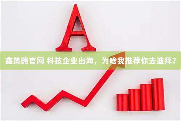 鑫策略官网 科技企业出海，为啥我推荐你去迪拜？